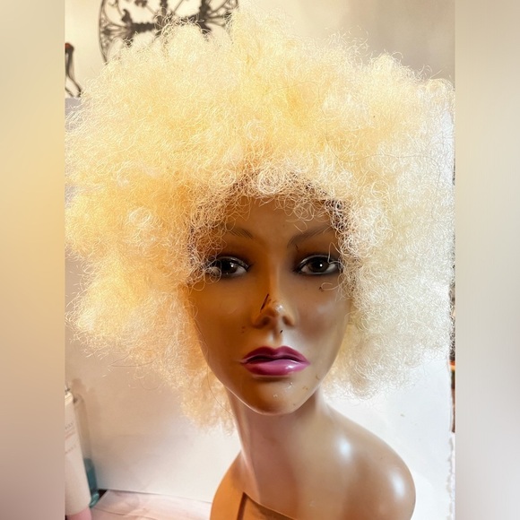 Blonde Afro Curly Wig - Picture 2 of 5